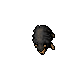 Black Sheep