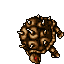 Thornback Tortoise