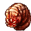 Rift Worm