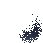 Insect Swarm