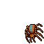 Poison Spider