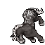 Gray Horse