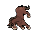 Brown Horse
