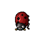 Ladybug
