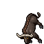 Water Buffalo