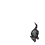 Cave Rat