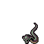 Cobra