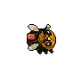 Bee Wasp