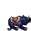 Midnight Panther