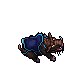 Rapid Boar