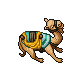 Dromedary