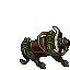 Water Buffalo