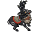 Black Stag