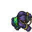 Noctungra
