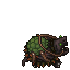 Swamp Snapper