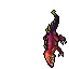 Adult Goanna
