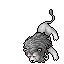 White Lion