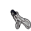 Angry Capricious Phantom