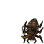 Angry Mycobiontic Beetle
