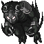 Tenebrosus