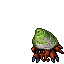 Hermit Crab