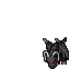 Black Dracadet [2]