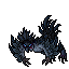Night Harpy